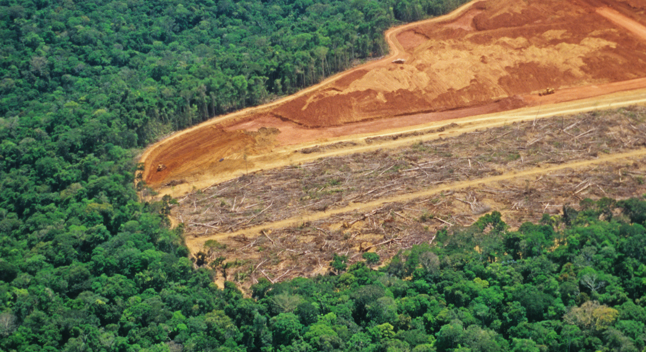 Common Methodology for Assessment of Progress Towards Deforestation-and Conversion-Free Supply Chains
